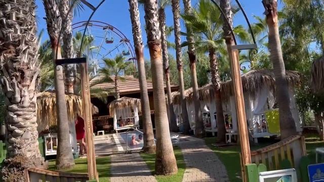 Обзор отеля Delphin Deluxe Resort Турция 2022 на пути к отелю Delphin Botanik Platinum