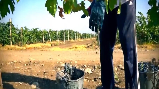 Tunzale - Men Azeriyem