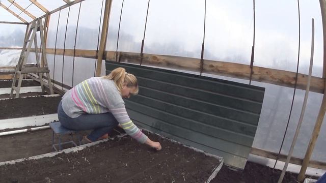 ТЕПЛЫЕ ГРЯДКИ . ПОСАДИЛИ РЕДИСКУ. смотреть онлайн