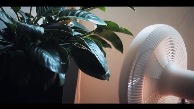 샤오미 선풍기 2세대 가장싸게 사는법 Xiaomi smart pedestal fan(Zhimi)-최저가의뢰 смотреть онлайн