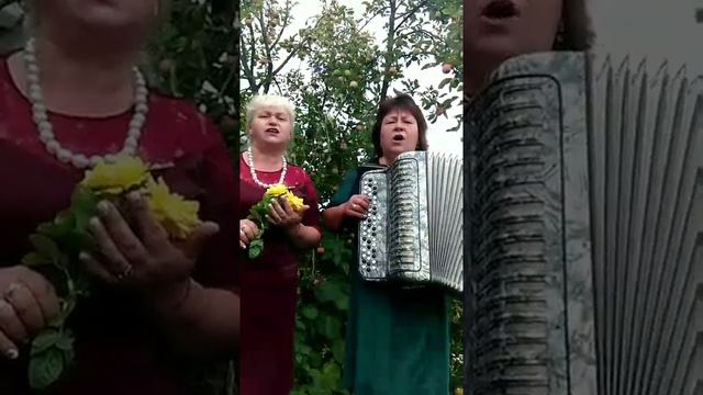 "Жовті троянди". Оля Олійник, Олена Багінська смотреть онлайн