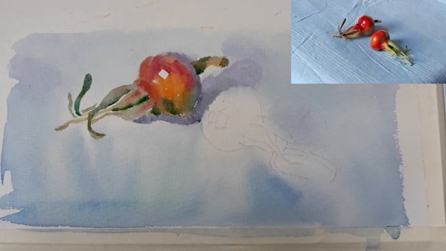 Урок №11. Как нарисовать ШИПОВНИК. Что такое БЫСТРЫЙ ЭТЮД АКВАРЕЛЬЮ. смотреть онлайн