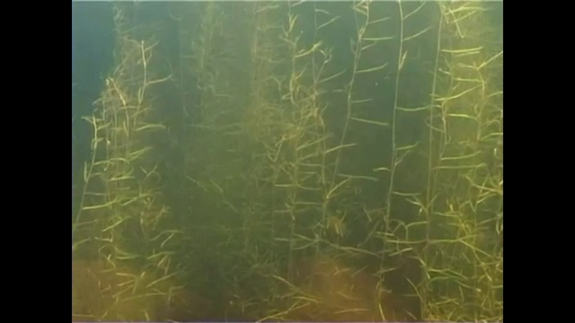 Счастливые люди - Енисей - Лето (серия 2) смотреть онлайн