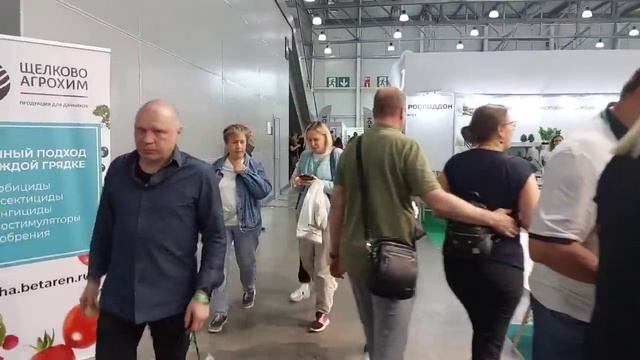 Обзор выставки Цветы Экспо 2023 // Москва 12 - 14 сентября смотреть онлайн