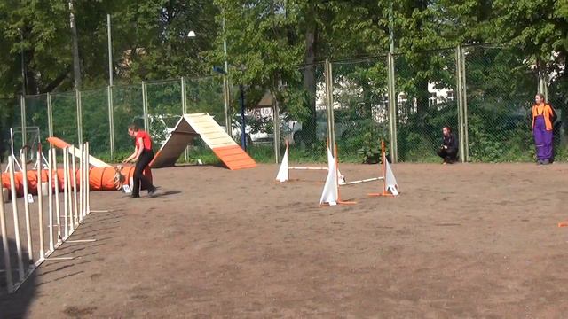 А3 Small-2 Калинина Мария и пудель Чудик