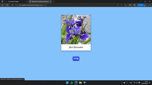 Deploy Machine Learning Iris Dataset (Using Flask) on Heroku With Source Code смотреть онлайн