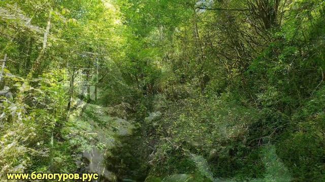 Абхазская маевка. День первый и второй смотреть онлайн