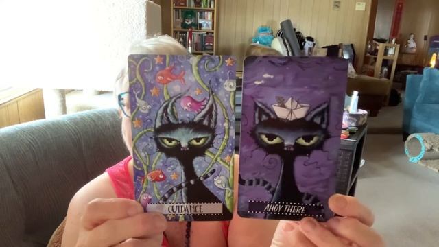 Return To Cat Land Oracle - Kickstarter смотреть онлайн