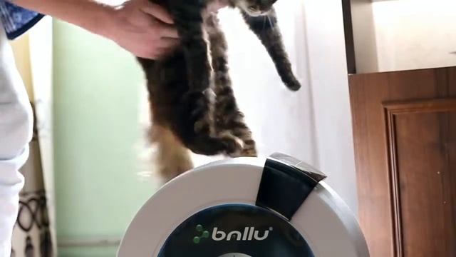 Funny way to check your Air washer . смотреть онлайн