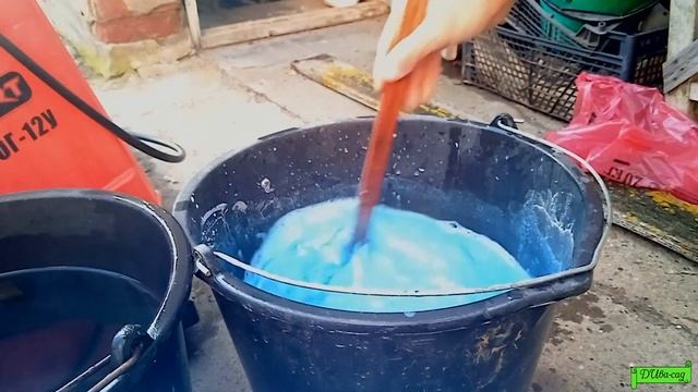 Бордоская жидкость - весенняя обработка сада ч 3, Астрахань 2022г. смотреть онлайн