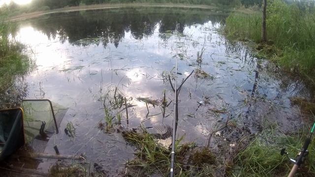 Два дня на озере: караси, новая палатка. смотреть онлайн