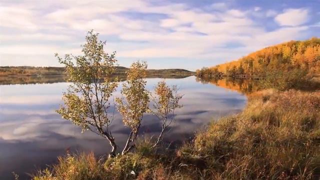 Мухаммад хазрат. Опасность грехов и их лечение 5/7 смотреть онлайн