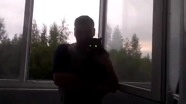 Кот бегемот смотреть онлайн