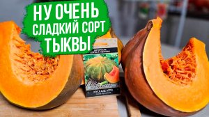 Очень сладкая и вкусная тыква. Тыква Мускаде Агро.