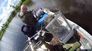 Рыбалка на Иртыше. Тугалово. Начало лета. Соры