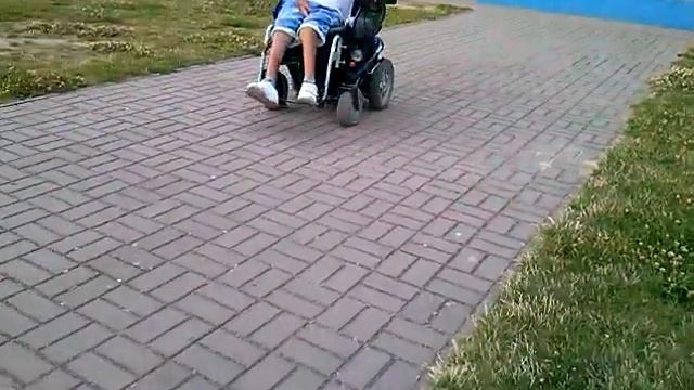 Moja pszczółka piska :) смотреть онлайн
