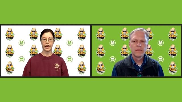 Venomous vs Non Venomous Snakes смотреть онлайн