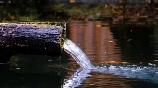 Шум ручья звук воды для сна/The sound of a stream the sound of water for sleep смотреть онлайн