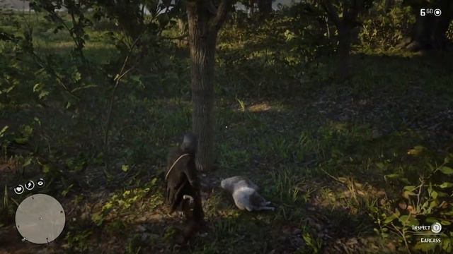 RDR 2 - Legendary Giaguaro Panther Master Hunter Challenge 10