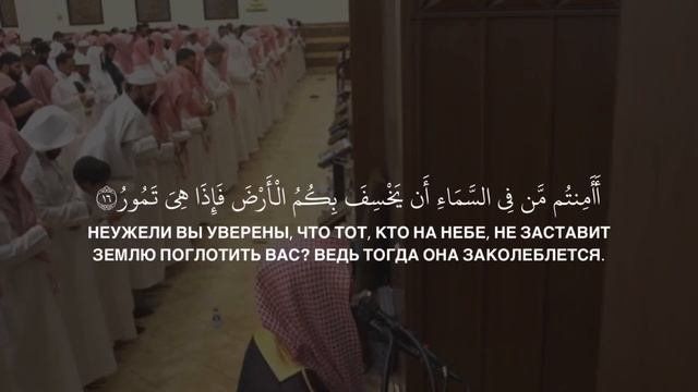 Мухаммад аль Люхайдан | Сура «Аль Мульк» смотреть онлайн