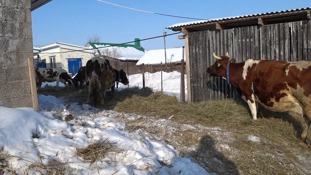 Новый настил . Новые бирки . смотреть онлайн