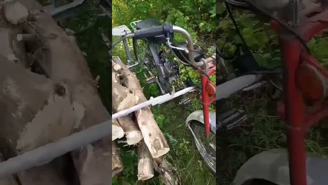 Велолесовоз! смотреть онлайн