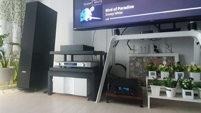 Roon  Nucleus/Nuprime Evolution/JAVS J-DDC/Bird Of Paradise - Snowy White смотреть онлайн
