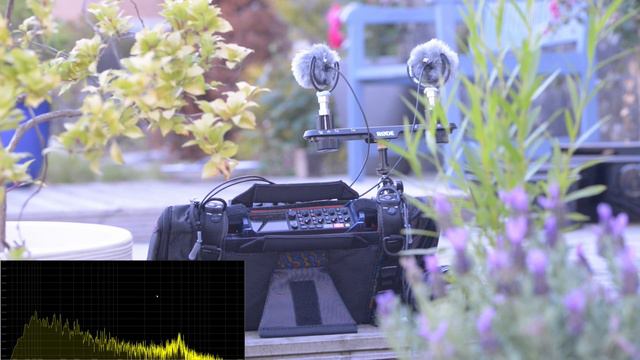 Easy Field Recording With Clippy XLR EM272, Stereo Pair.