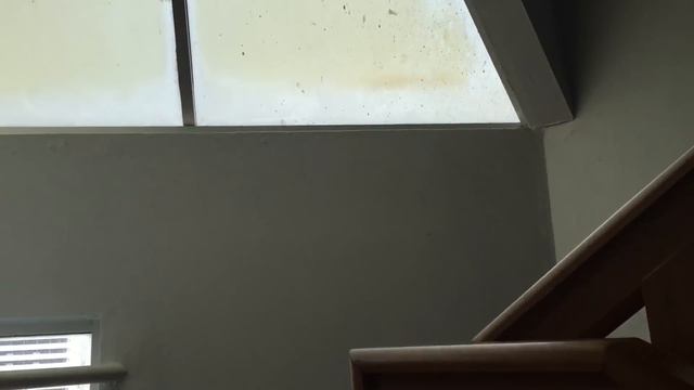 Приключения в Тайланде, отель и торговый центр. Плаваем в бассейне ныряем как Мисс Кейти смотреть онлайн