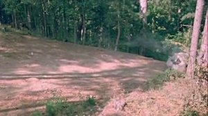 Там, на неведомых дорожках