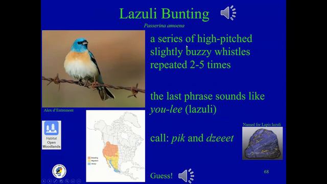 Birds Sounds Of Lake Tahoe, Class 3