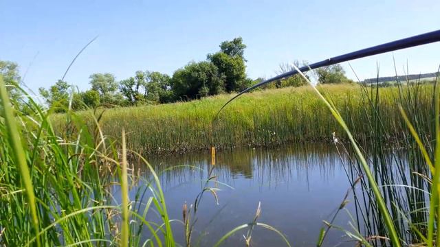 Ловля карася в луже. + Ловля плотвы на пруду. смотреть онлайн