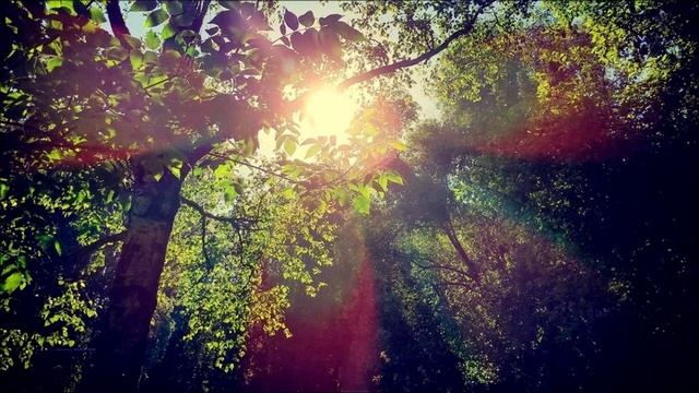 Знакомство с чакрами, как научиться с ними взаимодействовать.