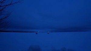 Отчёт за неделю, или очередная лиса на норе. Охота на лису 2024 02 08