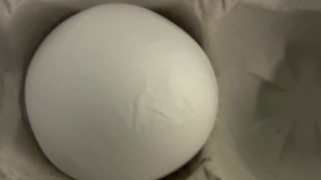 4H Poultry Judging: Class G - Exterior Egg Quality смотреть онлайн