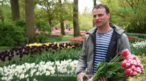 Premium Varieties: Paul Duineveld about Dutch Design