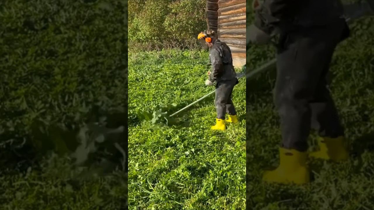 Усиленный триммер для резки травы и кустарника. REDVERG RD-GB262HD #tools #триммер смотреть онлайн