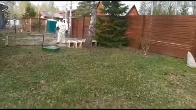 ОБРАБОТКА ОТ КЛЕЩЕЙ И КОМАРОВ/ КЛЕЩИ/КОМАРЫ/ СТУПИНСКИЙ РАЙОН/ СЕЗОН/МОСКВА/ВЕСНА смотреть онлайн