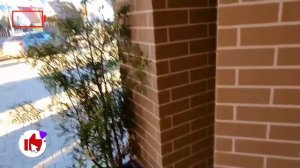 Бузя И Kузя Следят За Сестрой Веры 24 Часа