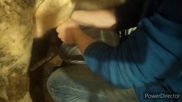 НА..АТЬ В РУКИ ТАКОМУ МАСТЕРУ ??