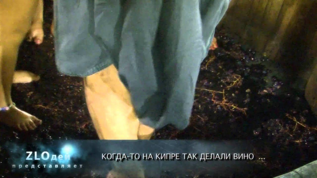 Винный фестиваль смотреть онлайн