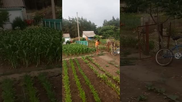 На даче весело смотреть онлайн