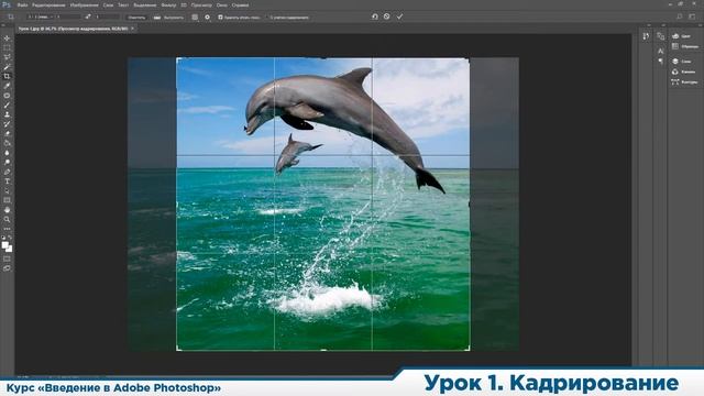 Курс "Введение в Adobe Photoshop". Урок 1. Кадрирование смотреть онлайн