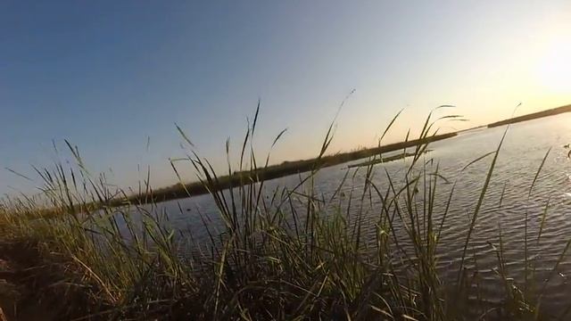 Охота в Астрахани, сентябрь 2016 смотреть онлайн