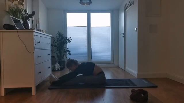 14. Flexibility Workshop mit Annika | #ScheckInShape | SportScheck смотреть онлайн