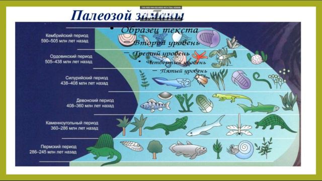М.Кенжебекова 