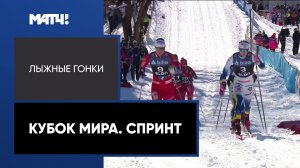 Лыжные гонки. Кубок мира. Спринт