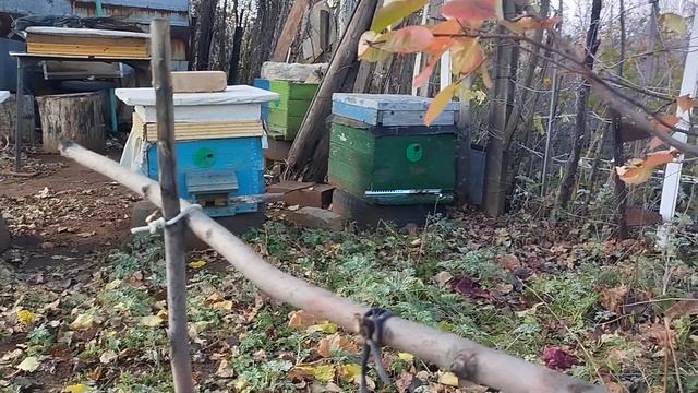 Осенний облет в теплый день смотреть онлайн