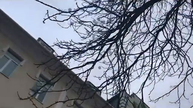 Коллектив ТФОМС СК присоединились к траурной акции по погибшим в пожаре в Кемерове смотреть онлайн