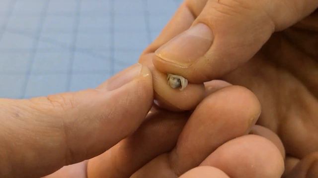 Kingdom Death: Echoes of Death II and some Black Friday exclusives! смотреть онлайн